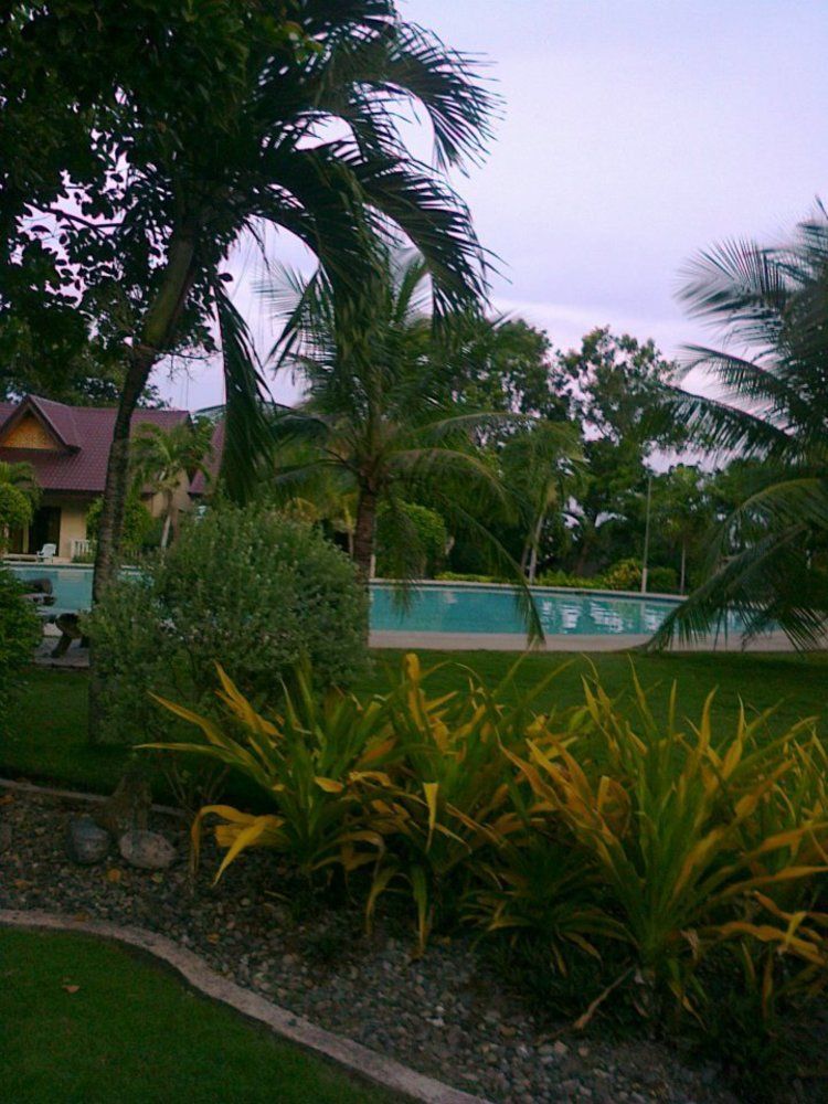 Bohol Divers Resort Totolan 外观 照片